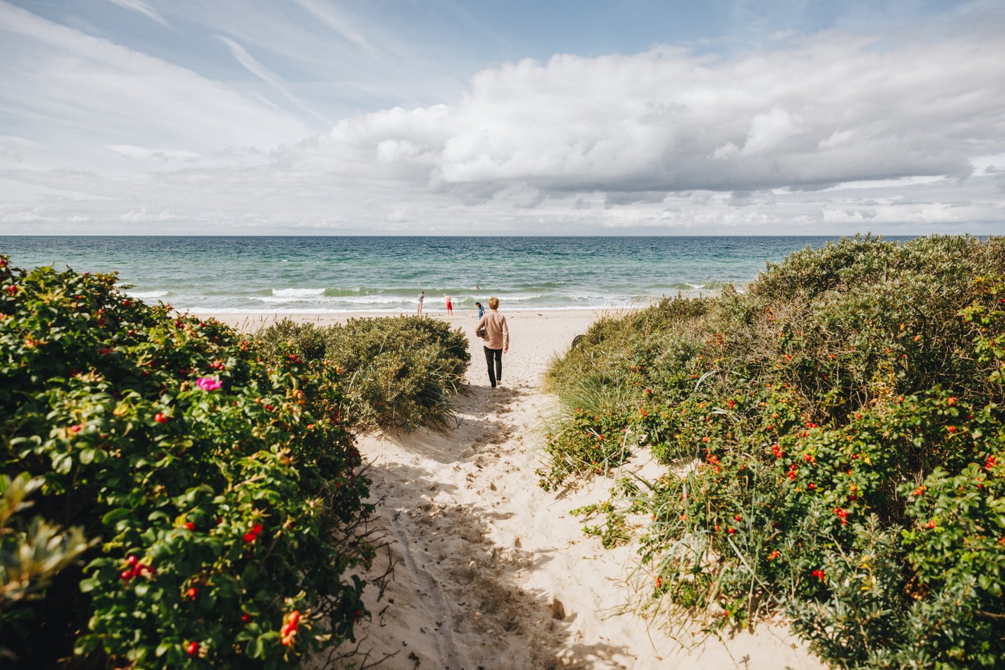 Seeland in Dänemark